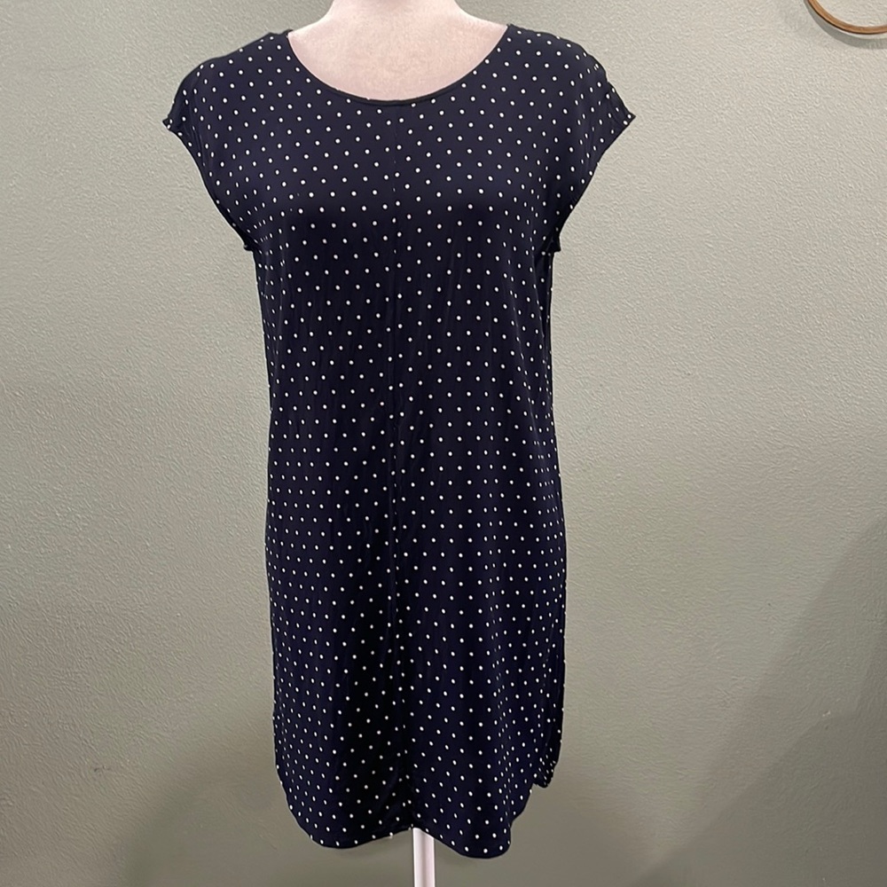 Madewell Polka Dot Navy Blue Dress